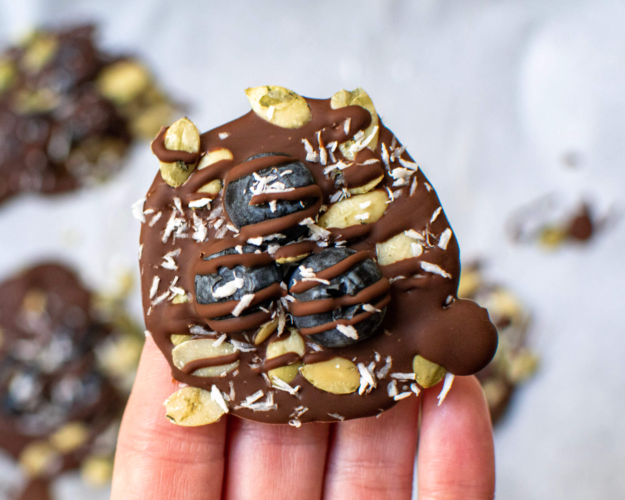 Chocolate Blueberry Discs