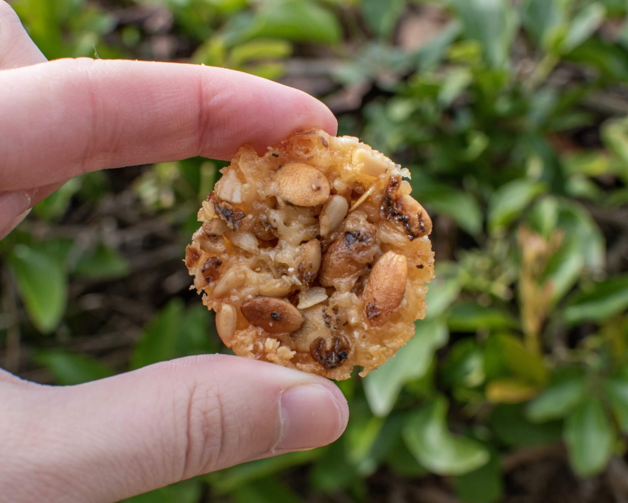 Cheesy Sprouted Seed Cups