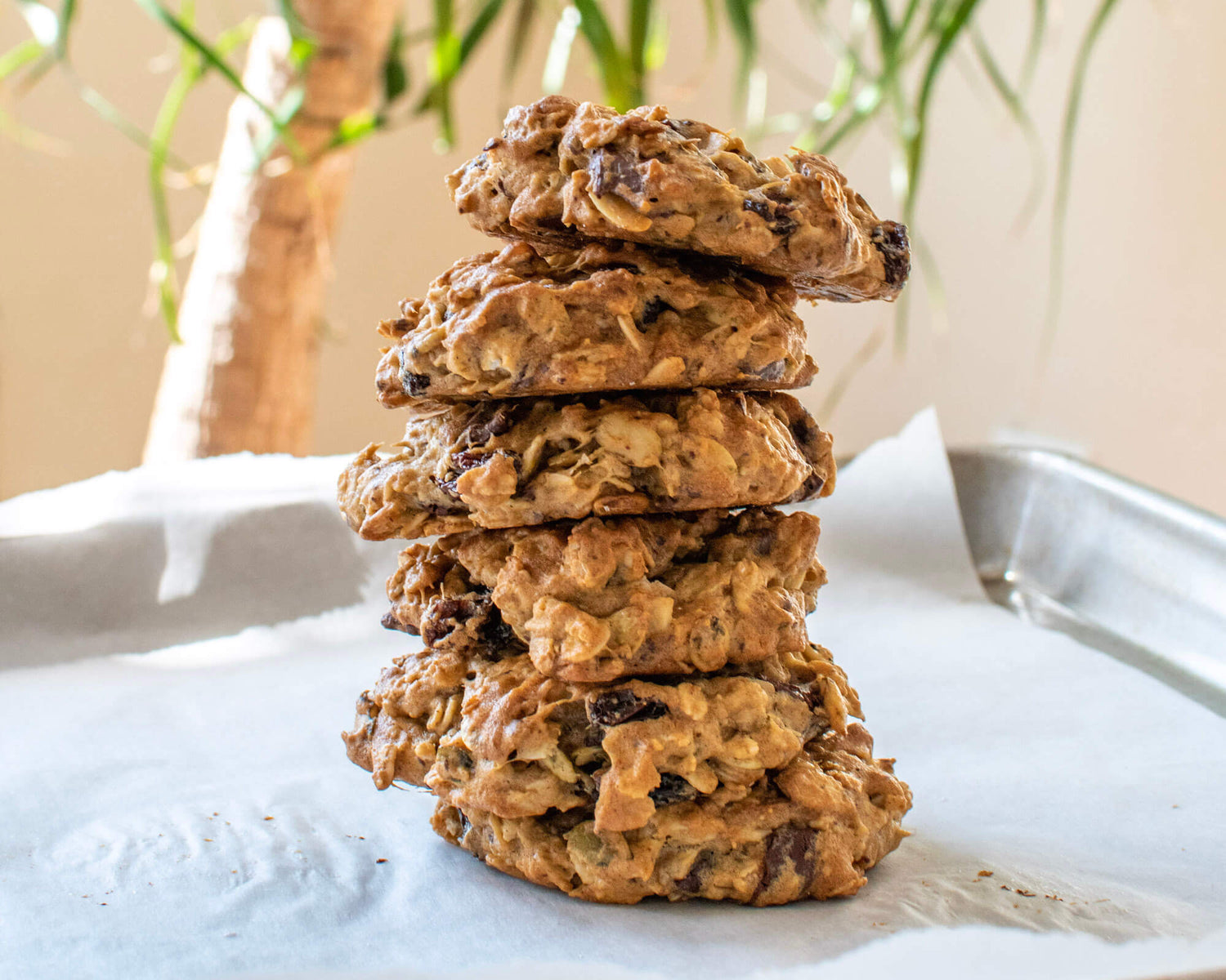 Refined Sugar Free Trail Mix Cookies with Go Raw Pumpkin Seeds