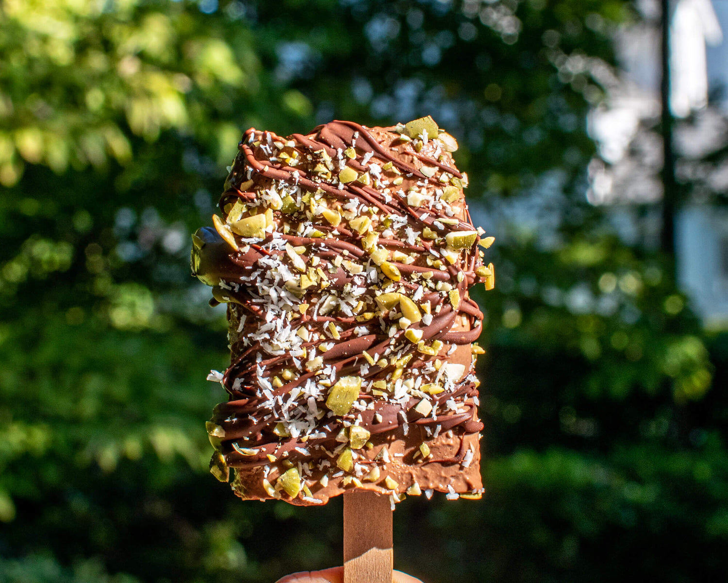 Vegan Chocolate Tahini Fudgesicle with Go Raw Sprouted Seeds