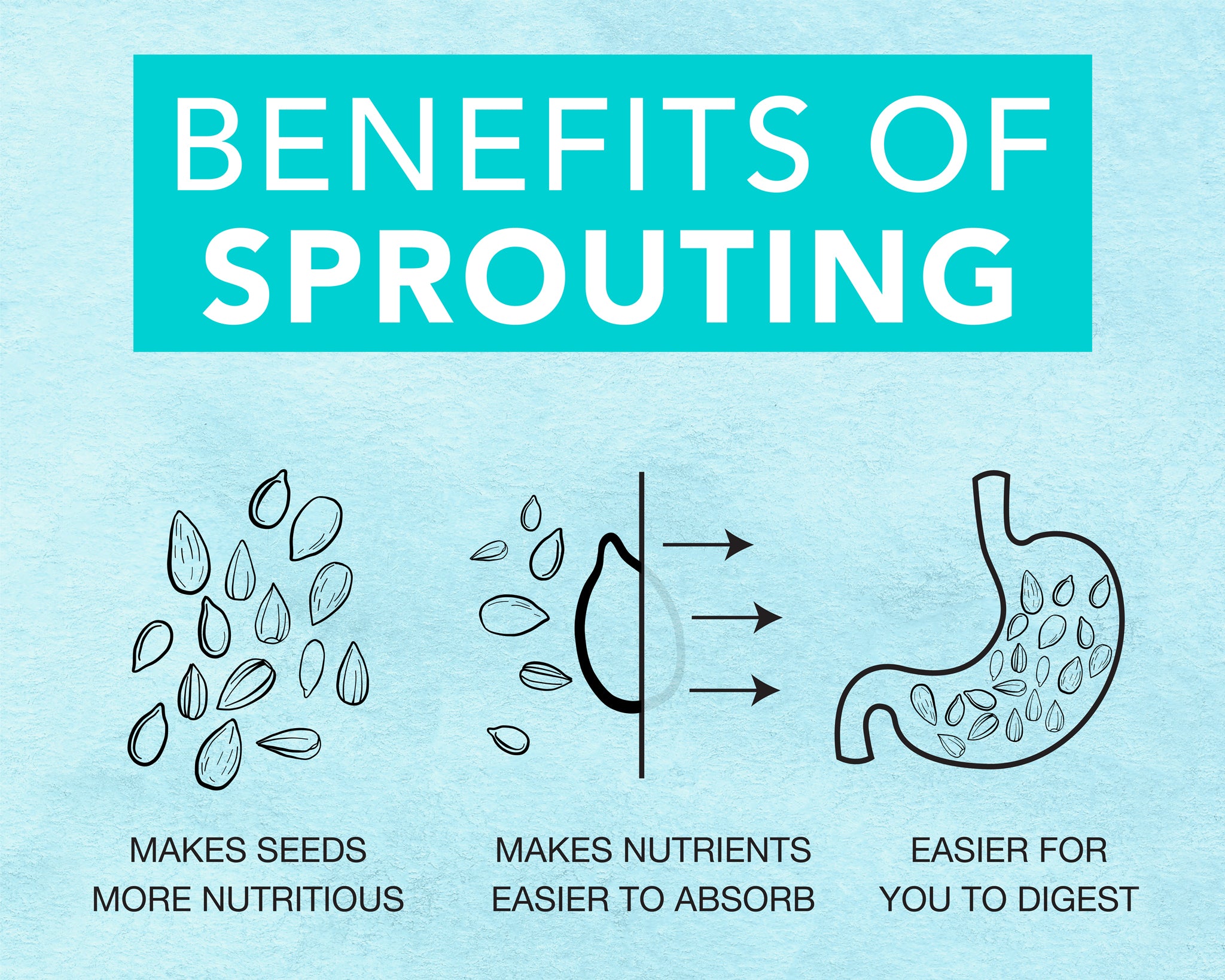 Benefits of Sprouting