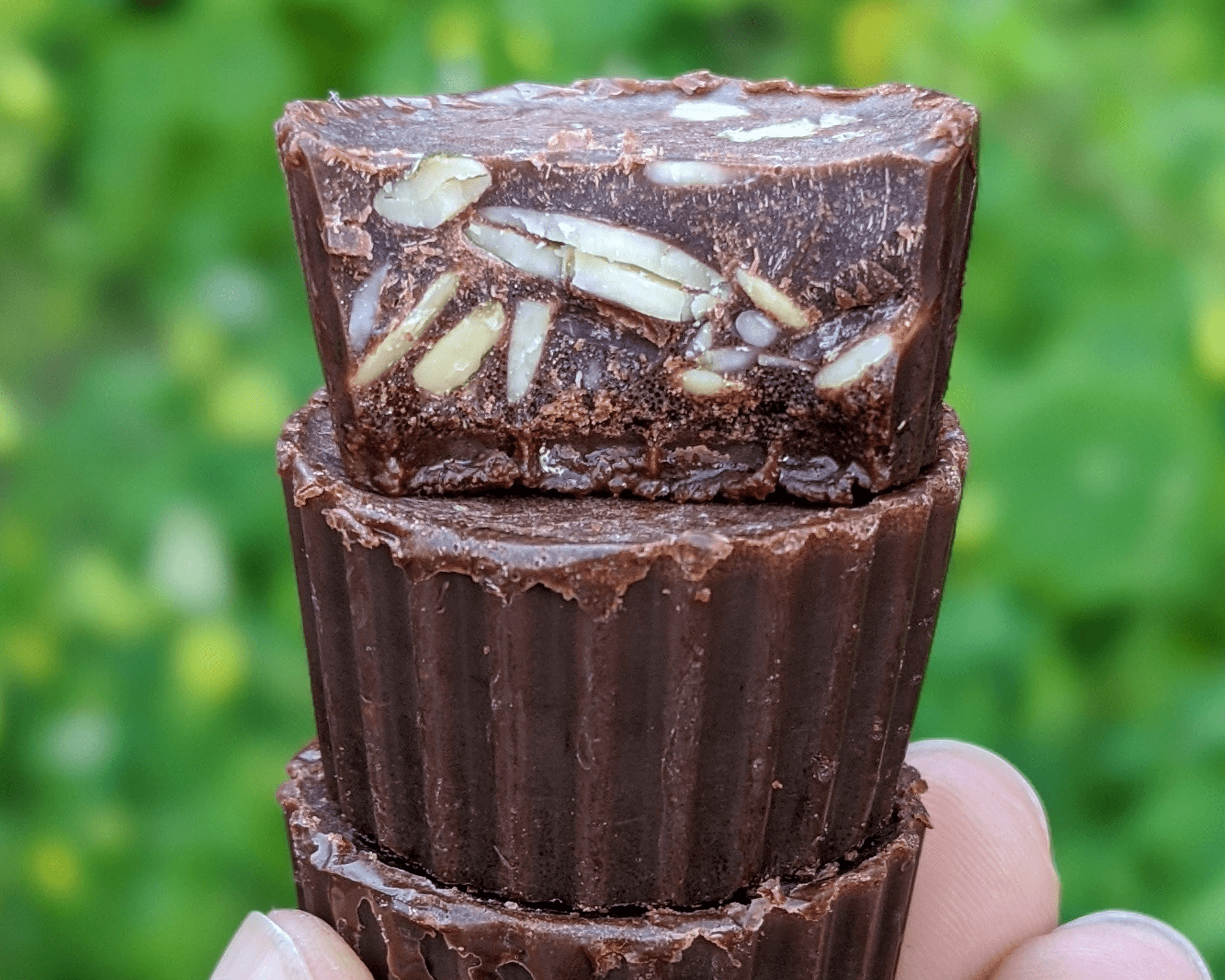 Chocolate Cups with Sprouted Seeds